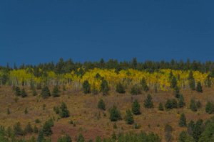 20201020FallColors2020051.jpg